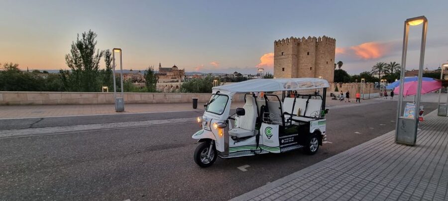 Córdoba: Guided City Tour by Tuk-Tuk - A Quick Look at Córdoba’s Historic Center