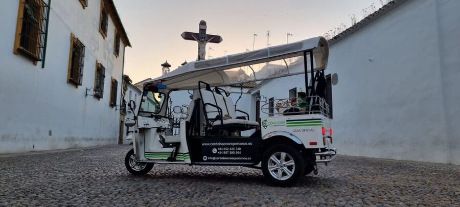 Córdoba: Guided City Tour by Tuk-Tuk - Viana Palace, Santa Marina, and La Merced