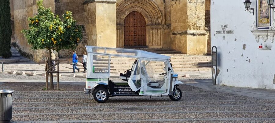 Córdoba: Guided City Tour by Tuk-Tuk - What Makes the Guides Important