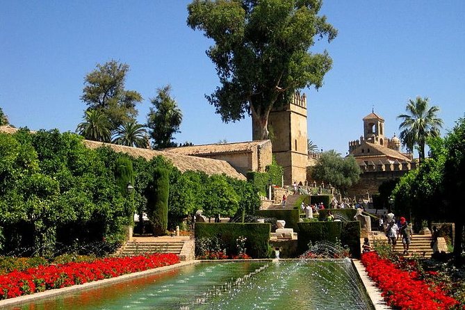Cordoba Guided Tour Mosque and Cathedral from Seville - The road from Seville, and the possible Carmona stop