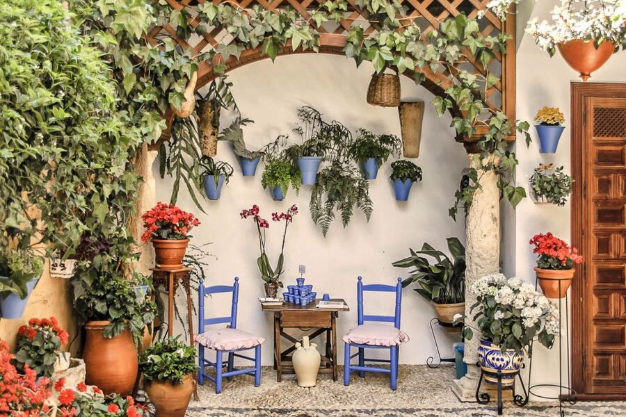Córdoba: Guided Tour of the Patios - Key things to know before booking
