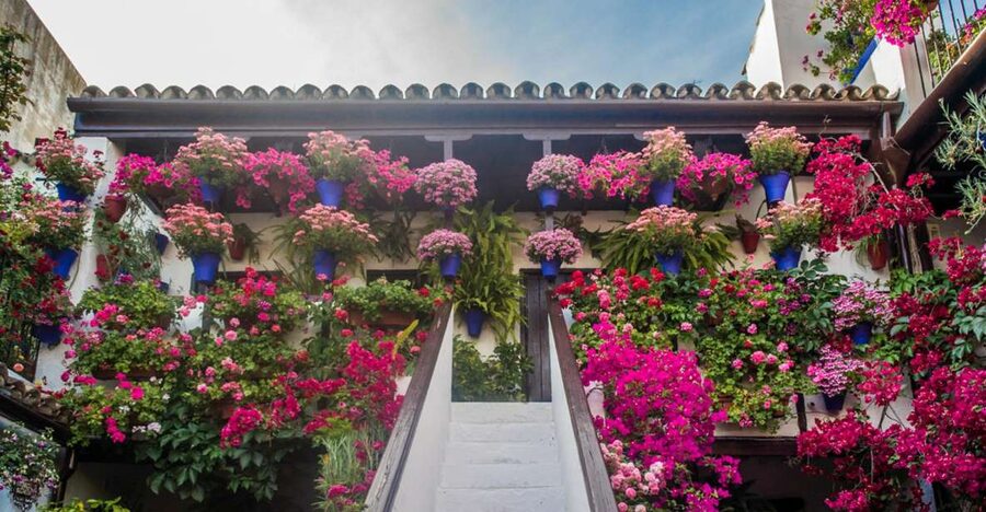 Córdoba: Guided Tour of the Patios - Entering the private courtyards