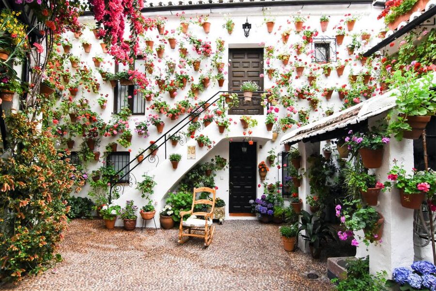Córdoba: Guided Tour of the Patios - What the guides add