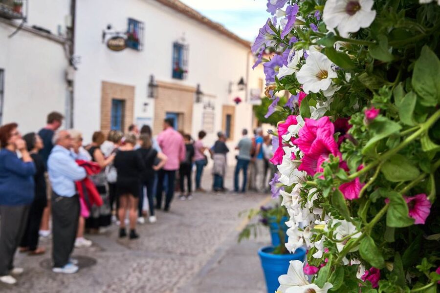 Córdoba: Guided Tour of the Patios - Queues, crowds, and the May festival