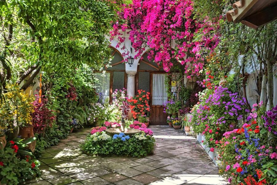 Córdoba: Guided Tour of the Patios - How the walking experience feels