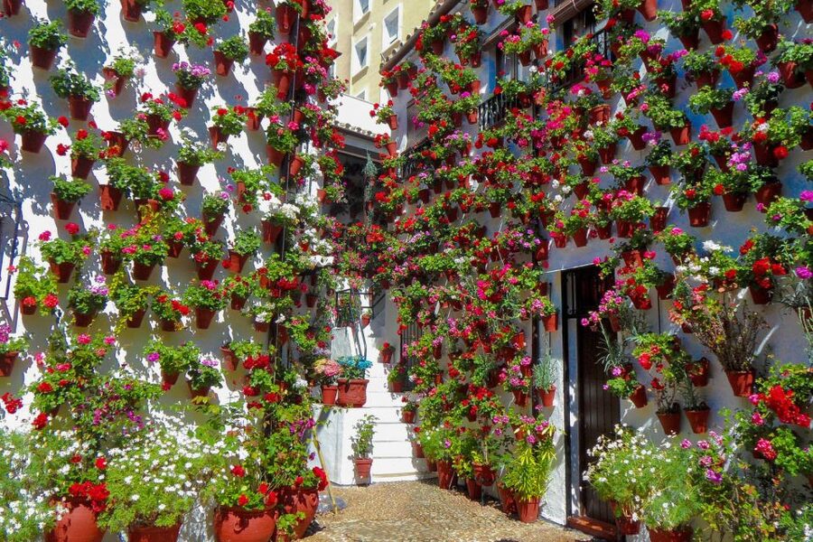 Córdoba: Guided Tour of the Patios - My verdict: a small tour with real local character
