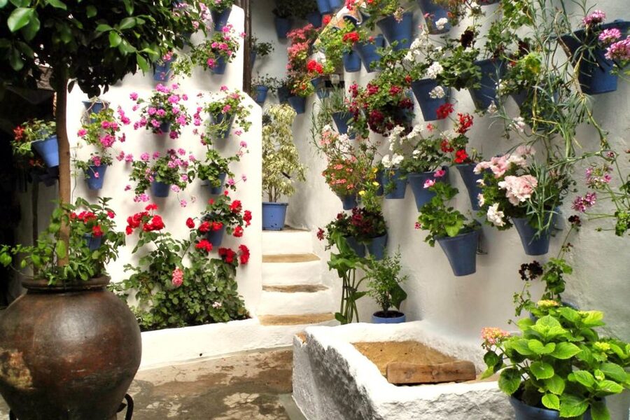 Córdoba: Guided Tour of the Patios - From Roman courtyard to Córdoba tradition