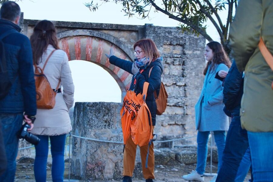 Cordoba: Half-Day Medina Azahara Guided Tour - Who should book this Córdoba outing?
