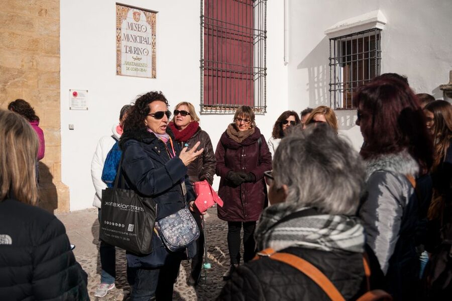 Cordoba: Jewish Quarter and Mosque-Cathedral Guided Tour - Walking the Judería for about 50 minutes