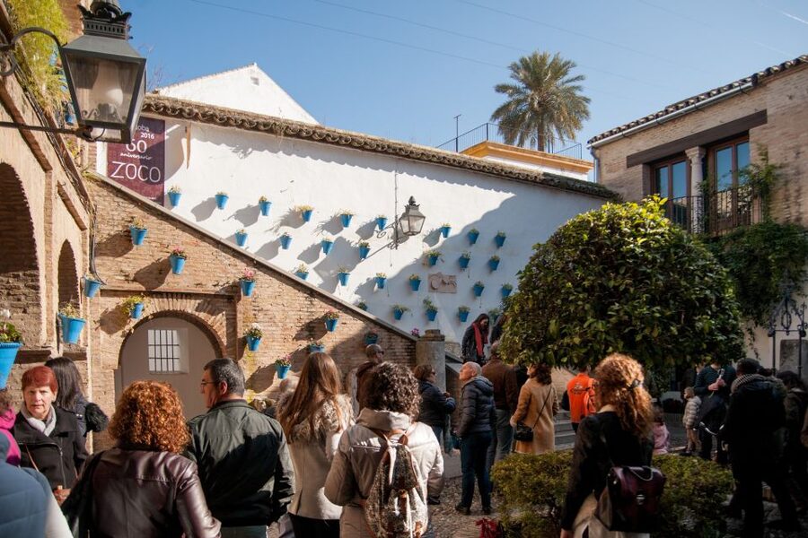 Cordoba: Jewish Quarter and Mosque-Cathedral Guided Tour - Guide quality and group experience