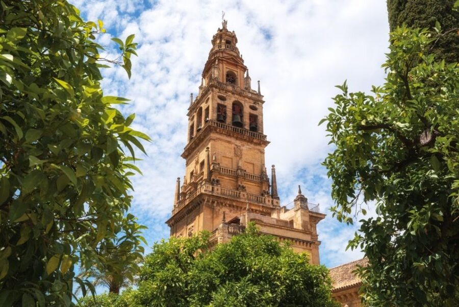 Córdoba: Mosque-Cathedral & Alcazar Guided Tour - Meeting the green umbrella at Avenida del Alcázar