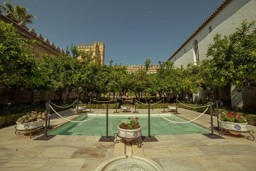 Córdoba: Mosque-Cathedral and Alcazar Tour - Who will get the most from this tour