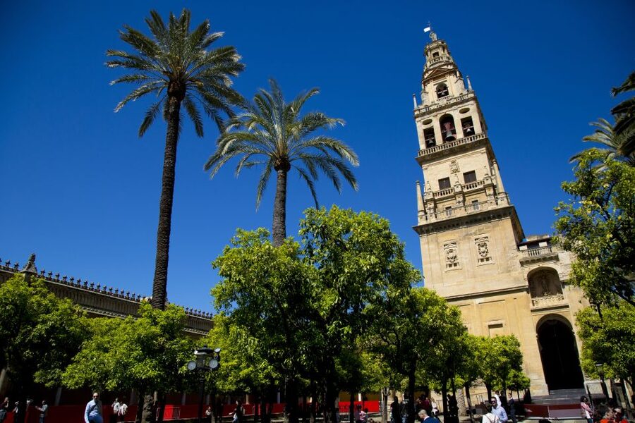 Córdoba: Mosque-Cathedral, Jewish Quarter and Alcázar Tour - Timing, pace, and the mid-tour break