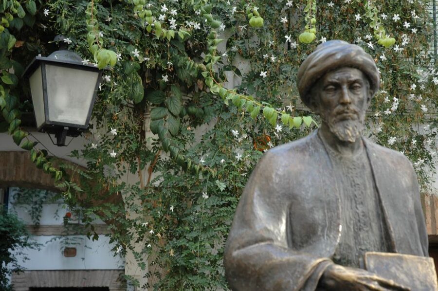 Cordoba Mosque & Jewish Quarter Tour with Tickets - Who will get the most from this tour?