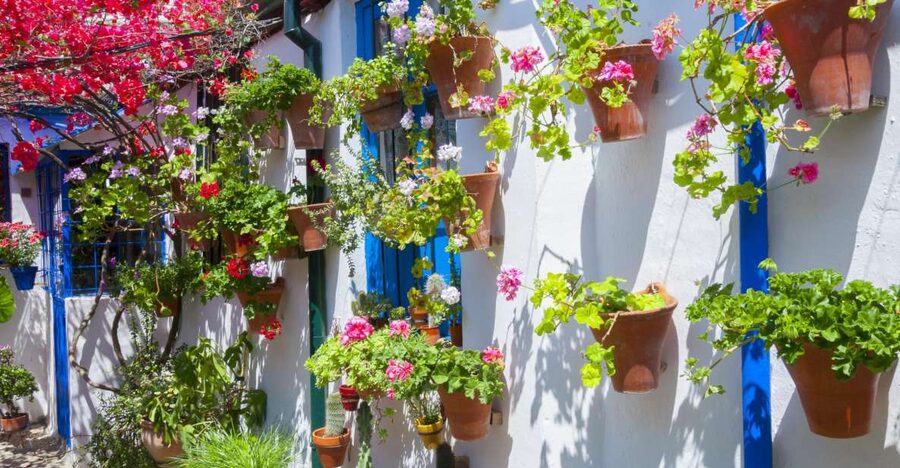 Cordoba's Authentic Patios: 2-Hour Tour with Tickets - Key points to know before booking