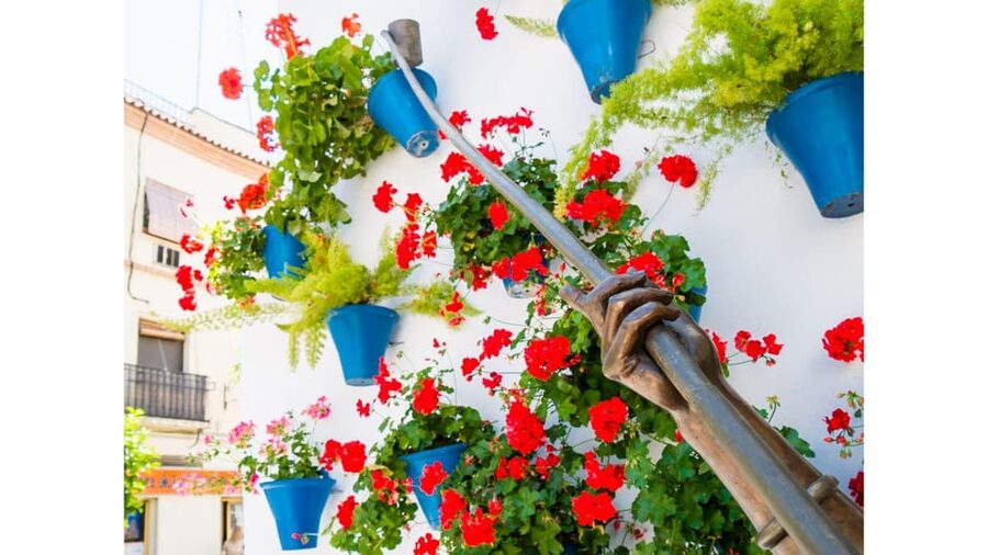 Cordoba's Authentic Patios: 2-Hour Tour with Tickets - Why Cordoba’s patios matter