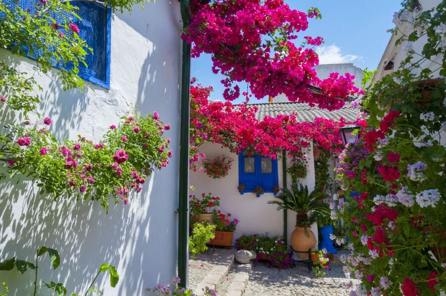 Cordoba's Authentic Patios: 2-Hour Tour with Tickets - Walking through Alcazar Viejo and San Basilio