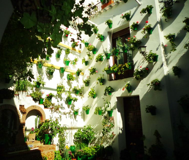 Cordoba's Authentic Patios: 2-Hour Tour with Tickets - Meeting the people behind the flowers