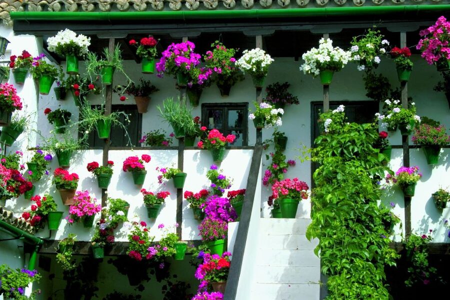 Cordoba's Authentic Patios: 2-Hour Tour with Tickets - Visiting during the May Patio Festival