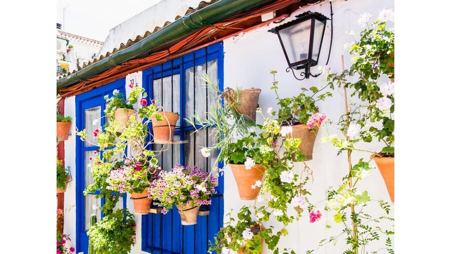 Cordoba's Authentic Patios: 2-Hour Tour with Tickets - The best season for flowers