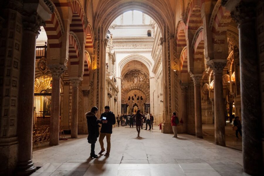 Córdoba: Skip-the-Line Great Mosque-Cathedral History Tour - Finding the only olive tree at the Patio de los Naranjos