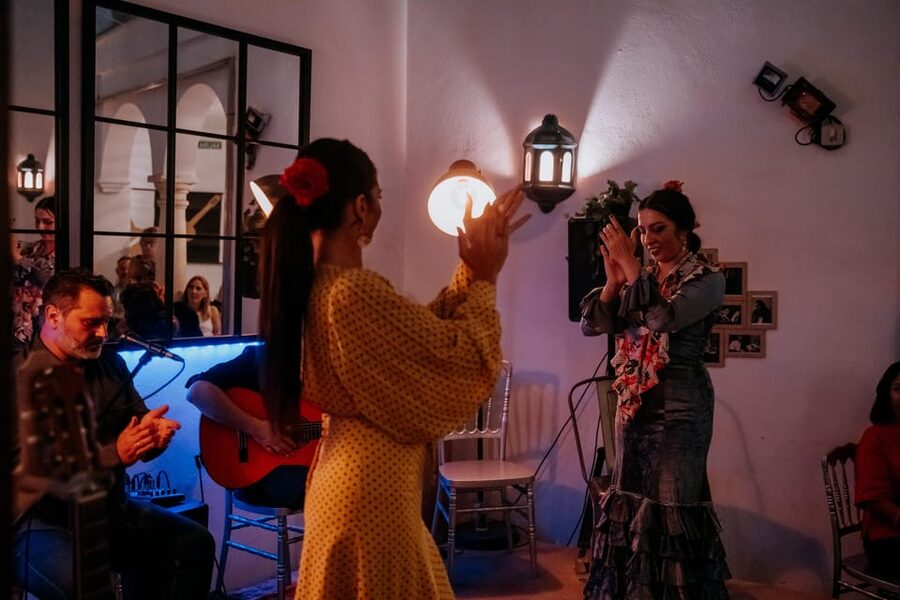 Córdoba: Tablao Flamenco at Doble de Cepa with Optional Meal - What the one-hour performance includes