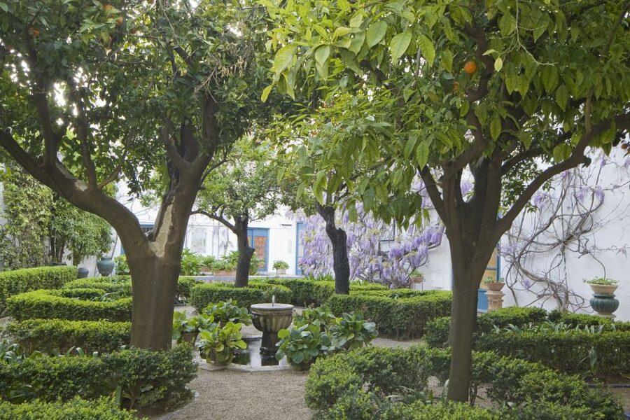 Córdoba: Viana Palace Gardens and Patios Entry Ticket - Key points at a glance
