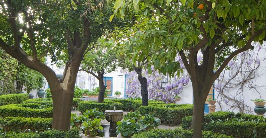 Córdoba: Viana Palace Gardens and Patios Entry Ticket - Entering at Plaza de Don Gome 2