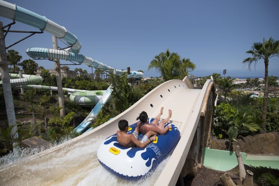 Costa Adeje: Aqualand Water Park Ticket with Dolphin Show - The dolphin show is more than a side attraction