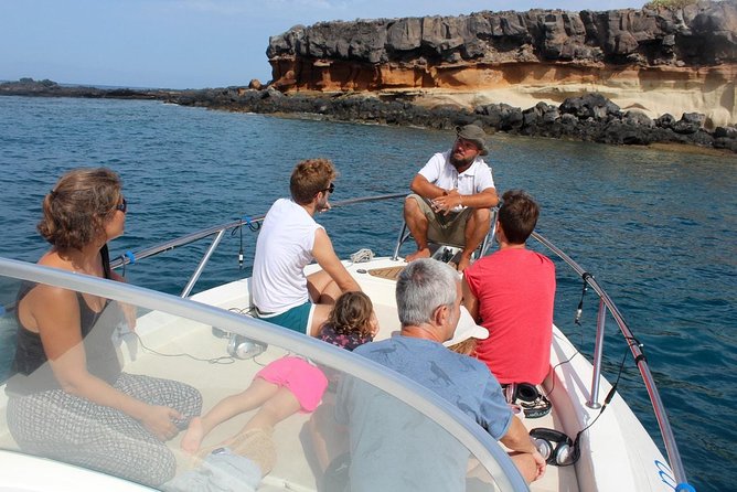 Costa Adeje | Cetacean sighting in Tenerife South - Key things to know before setting out