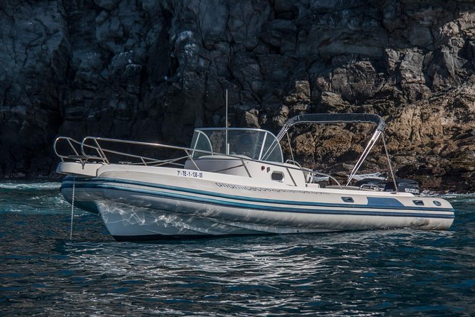Costa Adeje | Cetacean sighting in Tenerife South - What the two and a half hours feel like
