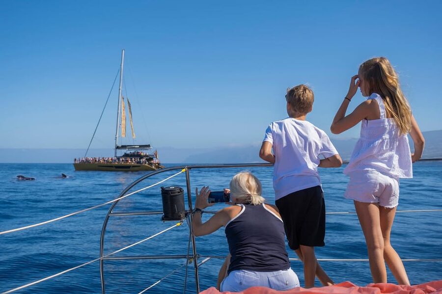 Costa Adeje: Masca and Los Gigantes Whale Watching Cruise - Should you book the Freebird cruise?