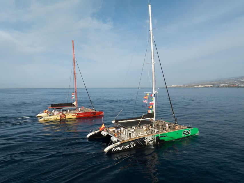 Costa Adeje: Masca and Los Gigantes Whale Watching Cruise - Watching pilot whales and dolphins in open water