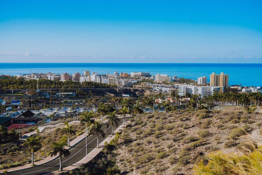 Costa Adeje: Secret Volcano Tuk Tuk Tour - Caldera del Rey and Tenerife’s volcanic past
