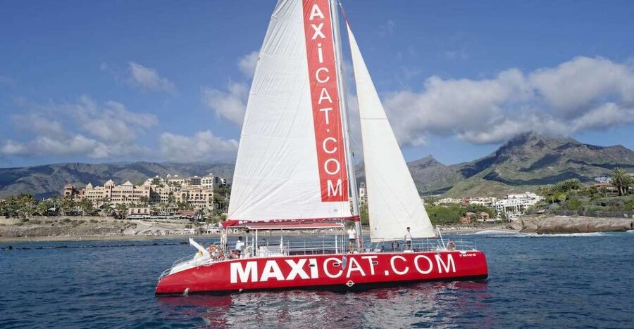 Costa Adeje: Whale and Dolphin Cruise with Food and Pickup - Diego Hernandez Bay and the swimming stop