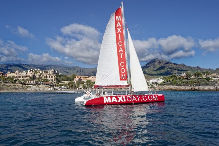 Costa Adeje: Whale and Dolphin Cruise with Food and Pickup - Booking, cancellation, and pickup details