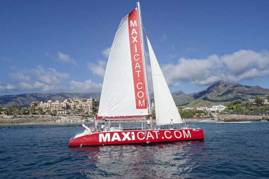 Costa Adeje: Whale and Dolphin Cruise with Food and Pickup - Searching for pilot whales and dolphins
