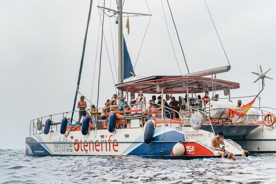 Costa Adeje: Whale & Dolphin Eco-Cruise with Snacks & Drinks - Key points at a glance