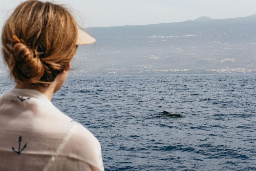 Costa Adeje: Whale & Dolphin Eco-Cruise with Snacks & Drinks - A quieter way to watch dolphins and whales