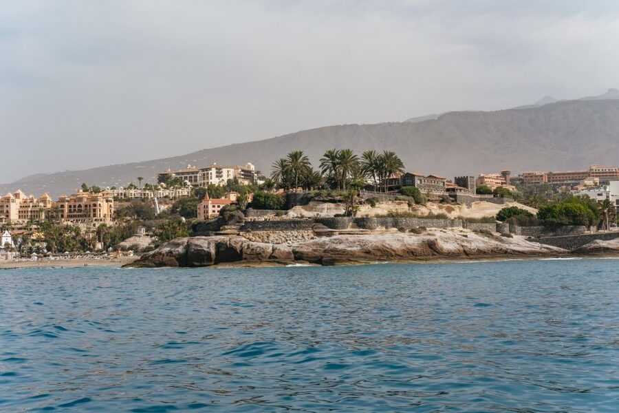 Costa Adeje: Whale & Dolphin Eco-Cruise with Snacks & Drinks - Food, drinks, seating, and comfort