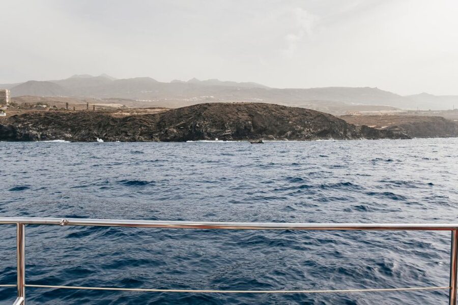 Costa Adeje: Whale & Dolphin Eco-Cruise with Snacks & Drinks - The main drawback: rough Atlantic conditions