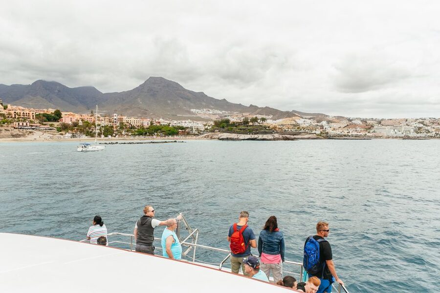 Costa Adeje: Whale & Dolphin Submarine Vision Mini Cruise - Key points to know before you book