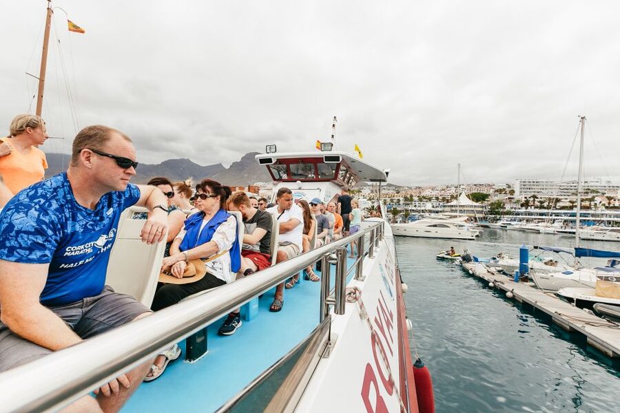 Costa Adeje: Whale & Dolphin Submarine Vision Mini Cruise - A two-hour itinerary that does not drag