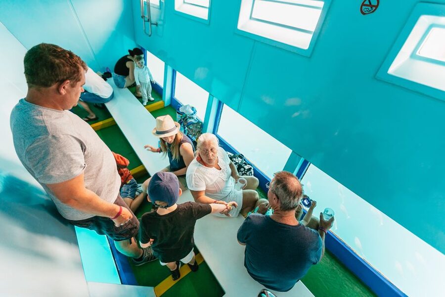 Costa Adeje: Whale & Dolphin Submarine Vision Mini Cruise - Is the cruise family-friendly?