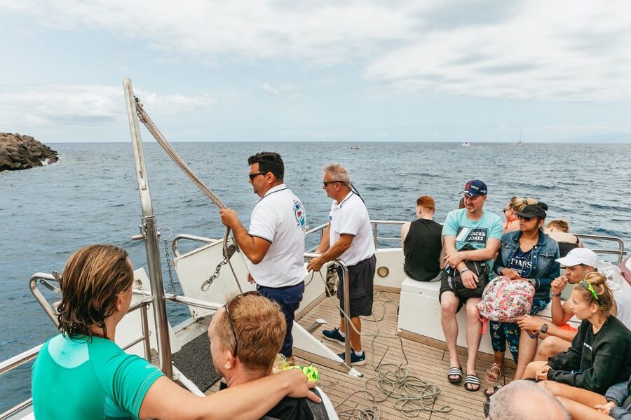 Costa Adeje: Whale & Dolphin Submarine Vision Mini Cruise - How much value do you get for $35?