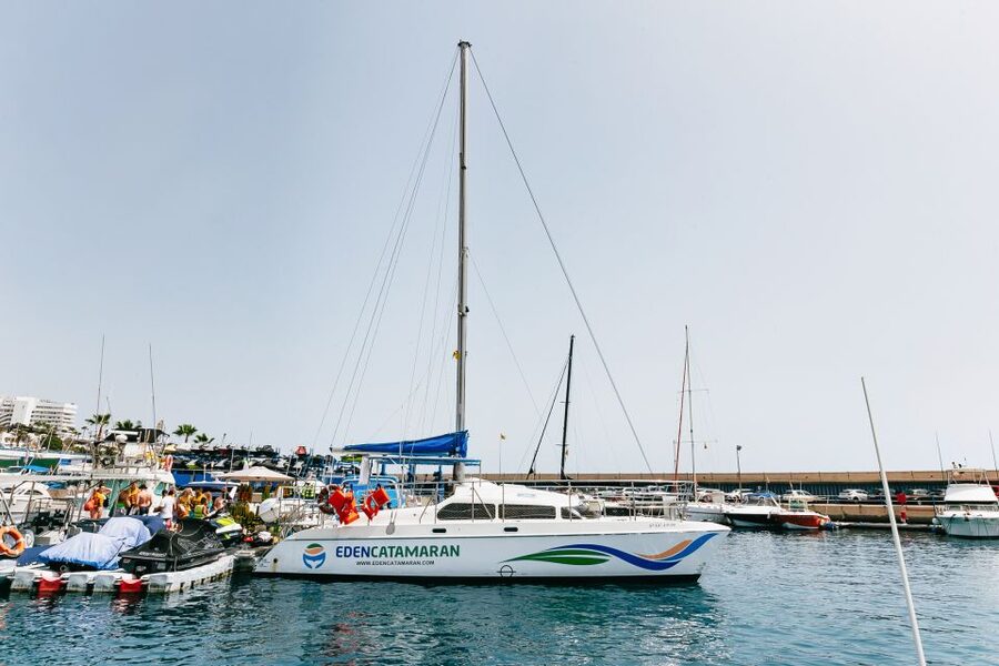 Costa Adeje: Whale Watching Catamaran Tour with Drinks - Drinks, music, photos, and the feel on board