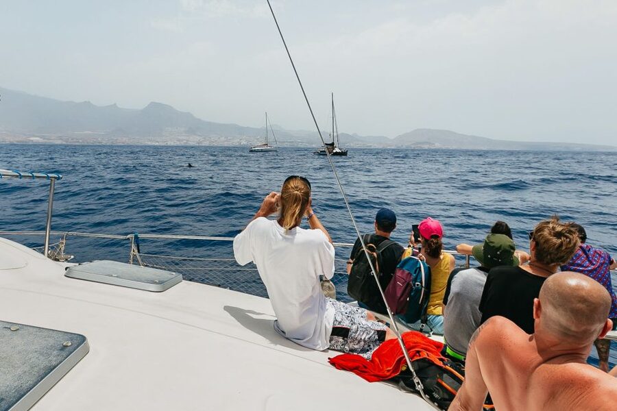 Costa Adeje: Whale Watching Catamaran Tour with Drinks - Is $41 good value for Costa Adeje?