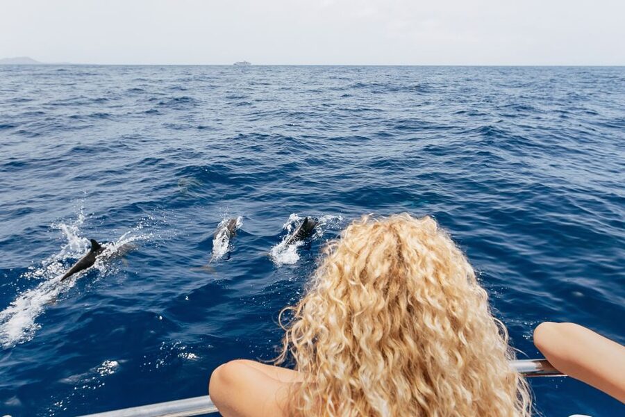 Costa Adeje: Whale Watching Catamaran Tour with Drinks - Who should book this catamaran