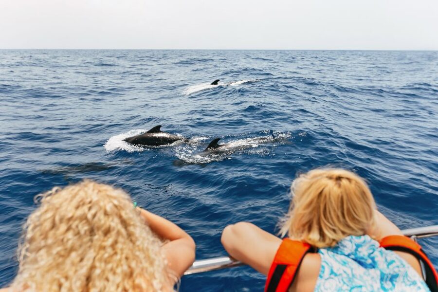 Costa Adeje: Whale Watching Catamaran Tour with Drinks - Leaving Puerto Colon and following Tenerife’s southwest coast