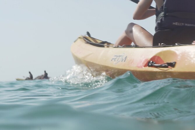 Costa Brava: Kayak, Snorkel, Photos, Lunch, Beach & Cliff Jump! - Is $72.56 a good value?